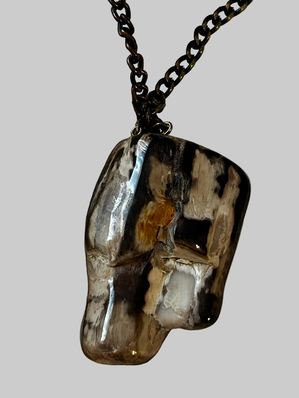 M.C’s polished petrified wood pendant necklace with black and amber tones on a dark metal chain
