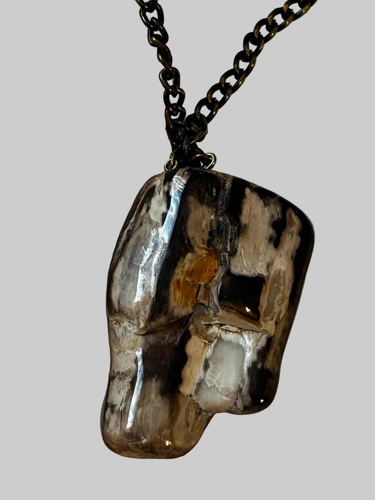 M.C’s polished petrified wood pendant necklace with black and amber tones on a dark metal chain